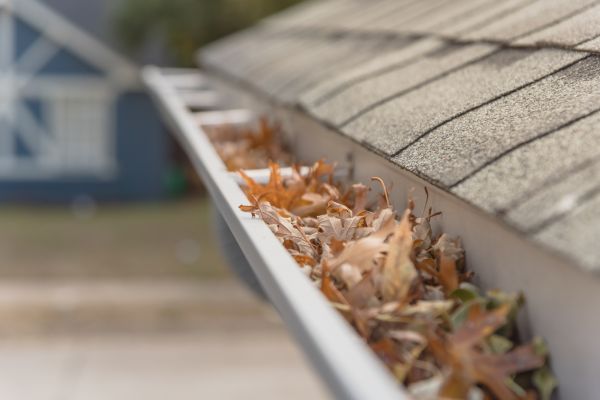 Leaf Barrier Installation in Mcdonough